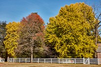                         Fall scenes at Travellers' Rest, a plantation home built by John Overton in 1799 in Nashville, the capital city of the U.S. state of Tennessee and, by reputation and accomplishment, of American country music                        