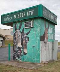                         Art featuring mules on a bank ATM (automated [bank] teller machine)in Columbia, Tennessee                        