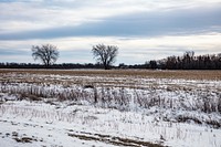                         An early-winter scene near the town of Arvilla in Grand Forks County, North Dakota, near the city of the same name                        