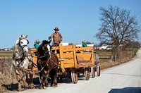                         An Amish man and three boys in a horse-drawn wagon pass in rural Missouri's "Amish County," near the town of Clark                        