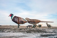                         "Pheasants on the Prairie," one of several scrap-metal sculpture installations by artist Gary Greff, said (by the Guinness Book of World Records) to be the world's largest, along what North Dakota calls its Enchanted Highway, a 32-mile portion of a county road from Gladstone to Regent in the southwestern part of that Northern Plains state                        
