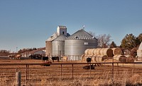                         A bustling grain-silo operation in Cairo (pronounced "CARE-roh"), a small town northwest of Grand Island, Nebraska                        