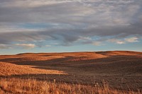                         Scene in Hooker County in the vast Nebraska sandhills                        