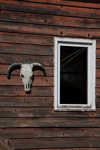                         A cabin wall at a small Frontier Village tourist attraction in Jamestown, North Dakota, that is often bypassed by visitors anxious to get to what is next door, the 26-foot tall, 46-foot-long, 60-ton "World's Largest Buffalo" statue built of stucco and cement under wire mesh, surrounding a steel frame                        