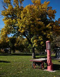                         Scene at the Northern Plains Botanic Garden in Fargo, North Dakota, a city on the state's eastern border with Minnesota                        