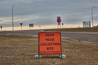                         A sign of a sort that's not uncommon on America's Northern Plains, where both deer and hunters are plentiful                        