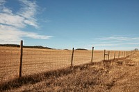                         Scene in Custer State Park, a popular and scenic hiking, biking, and fishing destination in southwest South Dakota                        