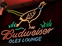                         Neon sign inside Ole's Big Game Steakhouse and Bar, a regional, and maybe national, attraction for its walls adorned with trophy heads from around the world in Paxton, a village west of North Platte in southwest Nebraska                        