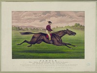 Parole: brown gelding, by Imp. Leamington, dam Maiden by Lexington, Currier & Ives.