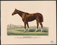 The racing King salvator, mile record 1:35 1/2: by Prince Charlie  Dam Salina by Lexington, Currier & Ives.