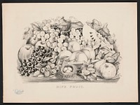 Ripe fruit, Currier & Ives.