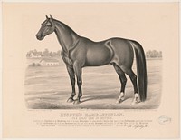 Rysdyk's Hambletonian: the great sire of trotters, Currier & Ives.