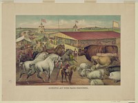 Sights at the fair ground, Currier & Ives.