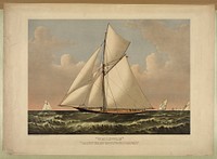 "Thistle": cutter yacht, designed by G.L. Watson. built by D.W. Henderson & Co. Glasgow. owned by Mr. James Bell, Glasgow Scotland, Currier & Ives.