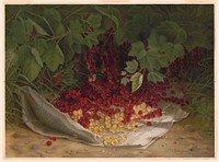 Currants