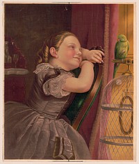 Our pet Polly, c1872.