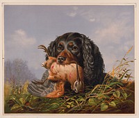 Spaniel and Woodcock, c1869.