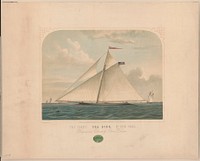 The yacht, Sea Bird, of New York, c1852 July 23.