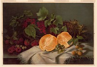 Summer fruit, c1868.