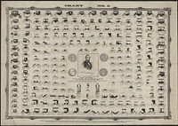 Chart no. 5, [New York] : Robert McKinstry, Jr., c1855.