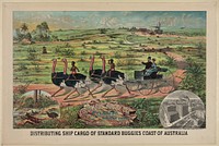 Distributing ship cargo of standard buggies coast of Australia, Cincinnati Lith. Co., [1882]