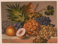 [Still life with various fruits]