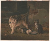 Cat family, c1870.