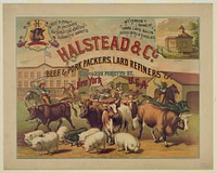 Halstead & Co. beef & pork Packers, Lard Refiners & Co.