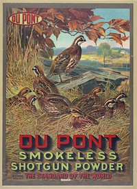 Du Pont smokeless shotgun powder - the standard of the world