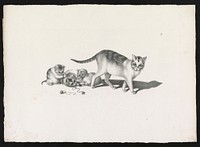 [Domestic cat with three kittens, playing] by Gottfried Mind (1768-1814)