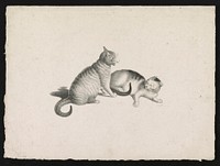 [Two domestic cats fighting] / CF-. by Gottfried Mind (1768-1814)