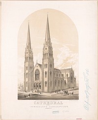 Cathedral of the Immaculate Conception, Albany, N.Y. / lith of A.J. Hoffman & Co. 452 Broadway Albany, N.Y.