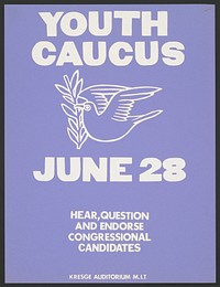 Youth caucus - June 28