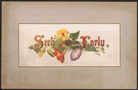 Prang's floral mottoes, no. 9. Seek me early, L. Prang & Co., publisher