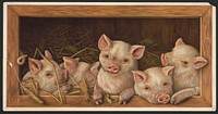 The prize piggies, L. Prang & Co., publisher