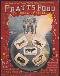 It's superiority is recognized throughout the world, Pratt's food, for horses and cattle