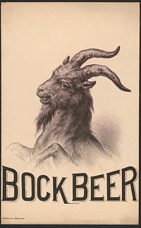 Bock Beer