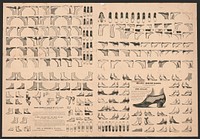 [Wood engraver's specimen sheet of shoe designs]