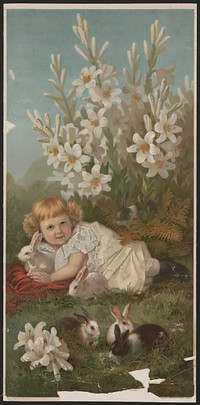 "Playmates" [Young girl in a field playing with rabbits]