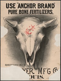 Use "anchor brand" pure bone fertilizers, manufactured only by [?]er mf'g co., [St. L]ouis