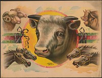 [Image of cattle-pigs, cows, sheep, and horses]