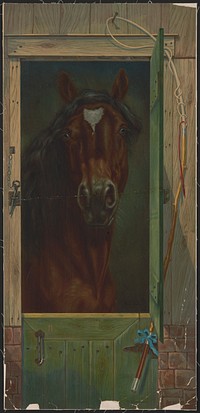 [Horse standing at stable door looking at the viewer]