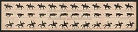 The attitudes of animals in motion, by Muybridge, arranged for the zoetrope, photographed from the life in 1878-79, [United States] : [publisher not transcribed], 1882.