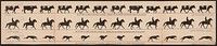 The attitudes of animals in motion, by Muybridge, arranged for the zoetrope, photographed from the life in 1878-79, [United States] : [publisher not transcribed], 1882.