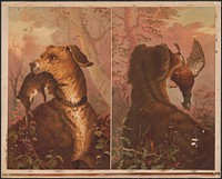 [Two panels, where each has a dog that has a dead animal in its mouth, one a rabbit, the other a bird]