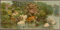 [Outdoor scene with cows and swans in a lake with a little girl on land with a dog and two cows]