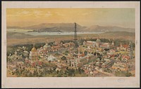 [Panormic view of a section of the Chicago World's Fair with Ferris wheel]