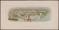 Birds-eye view, World's Columbian Exposition