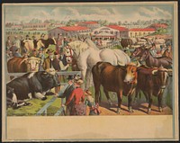 [Cattle, horses, and people at the fair with stables in the background]