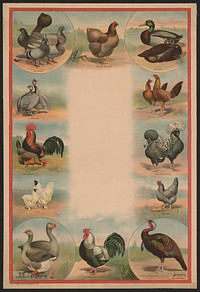 Full sheet poultry hanger. No. 23